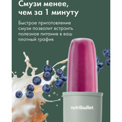 Блендер NutriBullet Pro NB908MAJD