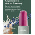 Блендер NutriBullet Pro NB908MAJD