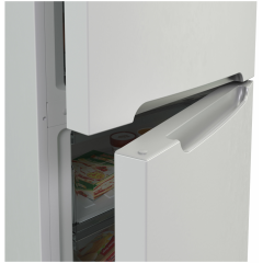 Холодильник Candy CCRN 6200W