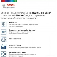 Холодильник Bosch KGE39XL21R