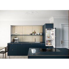 Однокамерный холодильник Liebherr IRBd 4150 Prime