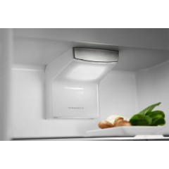 Холодильник Electrolux Flex RNS6TE19S