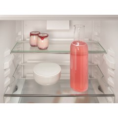 Холодильник Liebherr ICNd 5123 Plus NoFrost