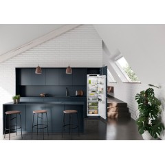 Холодильник Liebherr IRBSe 5120 Plus