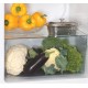 Холодильник Snaige FR26SM-PRJ30E3