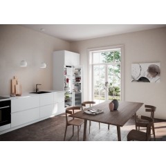 Холодильник Liebherr IRBd 5171 Peak