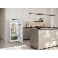 Холодильник Liebherr Rf 4600 Pure