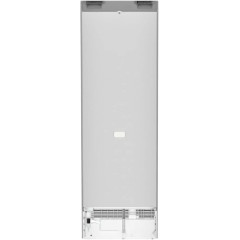 Однокамерный холодильник Liebherr Rsfe 5220 Plus