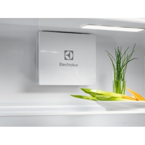 Холодильник Electrolux GreenZone 700 LNG7TE18S