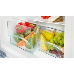 Холодильник Liebherr CTele 2931