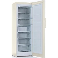 Морозильная камера Indesit DSZ 5175 E