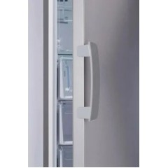 Морозильная камера Indesit DSZ 5175 G