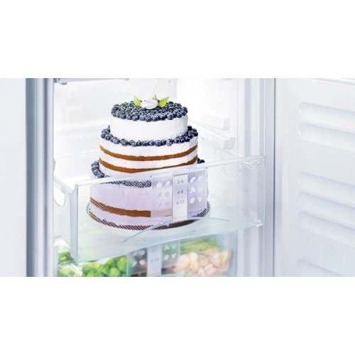 Холодильник Liebherr CTe 2931