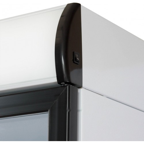 Торговый холодильник Бирюса B310P