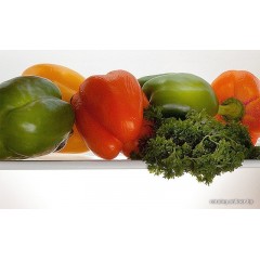 Холодильник Pozis RK-103 (белый)