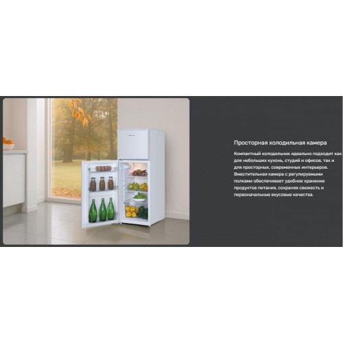 Холодильник Techno DF2-20