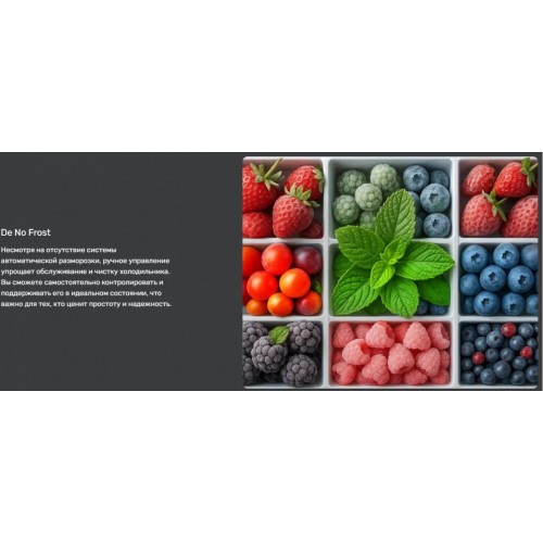 Холодильник Techno DF2-20