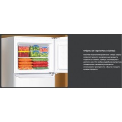 Холодильник Techno DF2-20