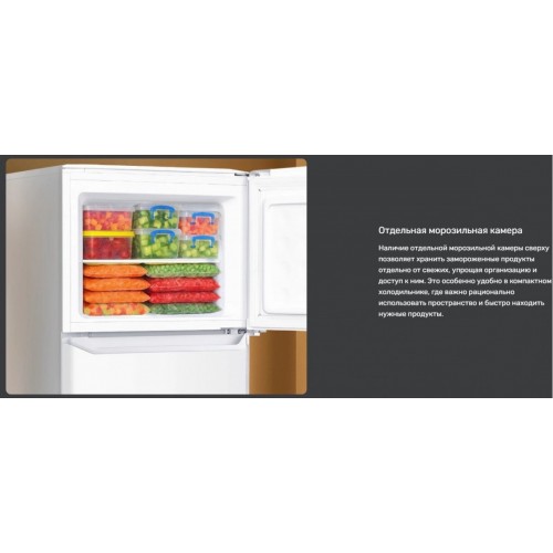 Холодильник Techno DF2-20