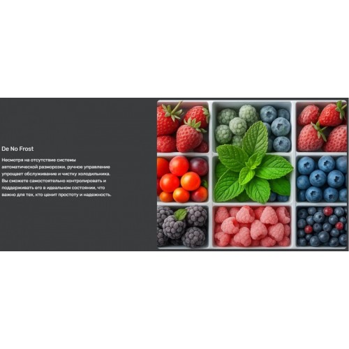 Однокамерный холодильник Techno DF1-20N