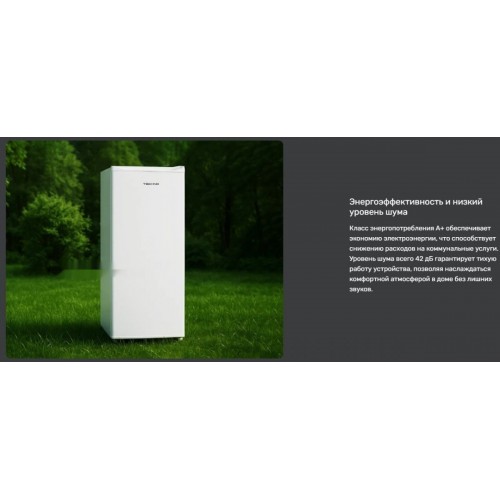 Однокамерный холодильник Techno DF1-20N