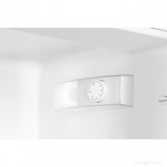 Однокамерный холодильник Electrolux LRB3AE12S