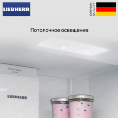 Холодильник Liebherr IRd 4520