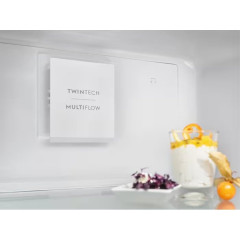 Холодильник Electrolux LNT5ME32U1