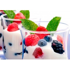 Йогуртница Steba JM 2