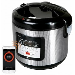 Мультиварка Redmond SkyCooker RMC-M224S