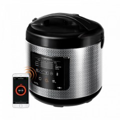 Мультиварка Redmond SkyCooker M227S