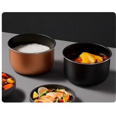 Мультиварка Xiaomi Electric Pressure Cooker 4.8L MYL02-1 (евровилка)