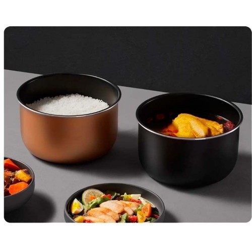 Мультиварка Xiaomi Electric Pressure Cooker 4.8L MYL02-1 (евровилка)