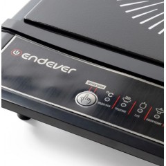 Настольная плита Endever Skyline IP-20