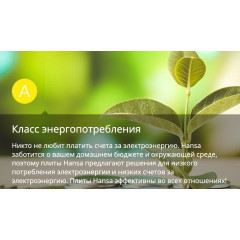 Плита Hansa FCMW580957