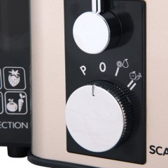 Соковыжималка Scarlett SC-JE50S35