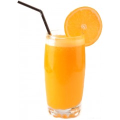 Соковыжималка Caso CP 330 Pro