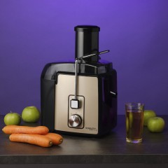 Соковыжималка Scarlett SC-JE50S24