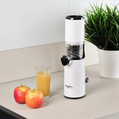 Соковыжималка Scarlett SC-JE50S59