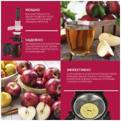 Соковыжималка Scarlett SC-JE50S48