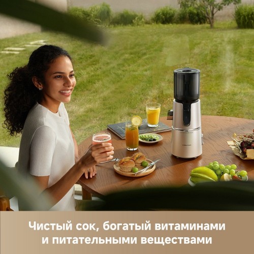 Соковыжималка Trouver Slow Juicer SJ10