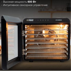 Сушилка для овощей и фруктов Hyundai HYFD-8801