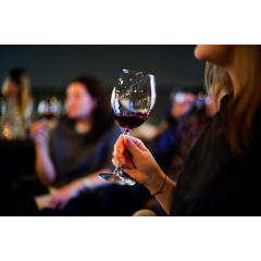 Винный шкаф Caso WineComfort 66 (Black)