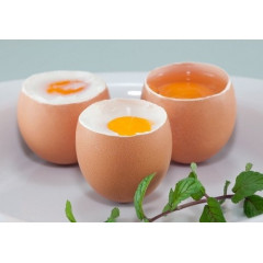 Яйцеварка Caso E3