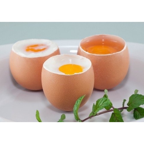 Яйцеварка Caso E3