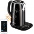 Электрический чайник Redmond SkyKettle RK-M170S-E (Black)