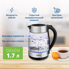 Электрический чайник Zelmer ZCK8011