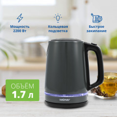 Электрический чайник Zelmer ZCK7921G