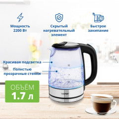 Электрический чайник Zelmer ZCK8024