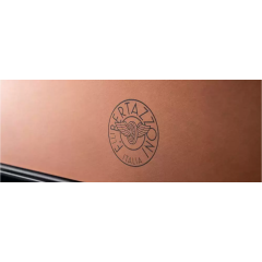 Духовой шкаф Bertazzoni F6011MODVPTC/23